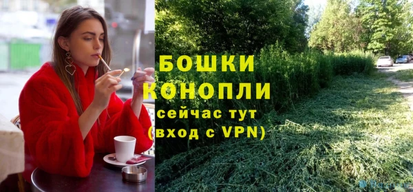 прущие крисы Корсаков