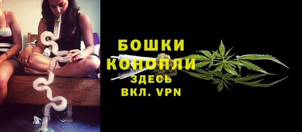 прущие крисы Корсаков