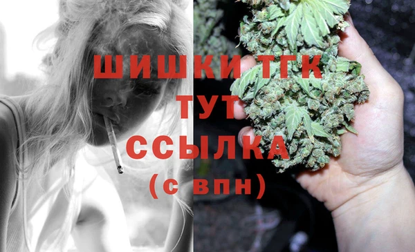 прущие крисы Корсаков