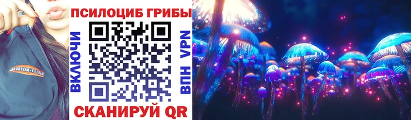 Купить закладки  Губкин  Псилоцибиновые грибы мицелий 